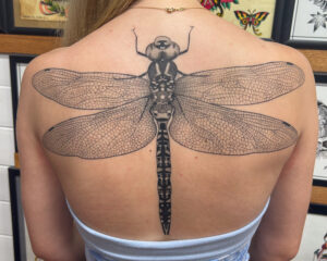Sam Lott Brass Eagle Tattoo Peoria Black and Grey Dragonfly on Upper Back