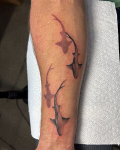 Sam Lott Brass Eagle Tattoo Peoria Fine Line Black and Grey Sharks with Shadows